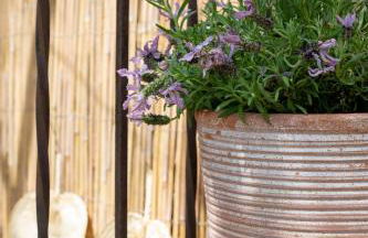 Maison dans les Arbres, SPA, Tennis, Parking - Photo 16