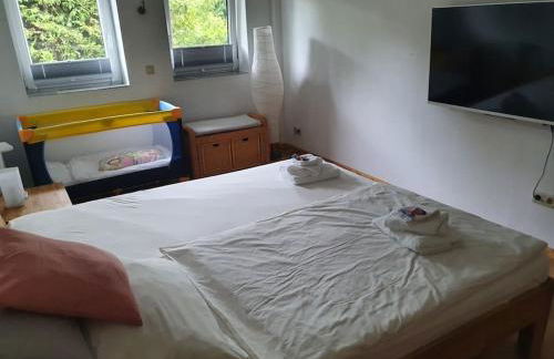 Kornhaus - schöne Ferienwohnung mit Pool, Kamin und Terrasse - Foto 30