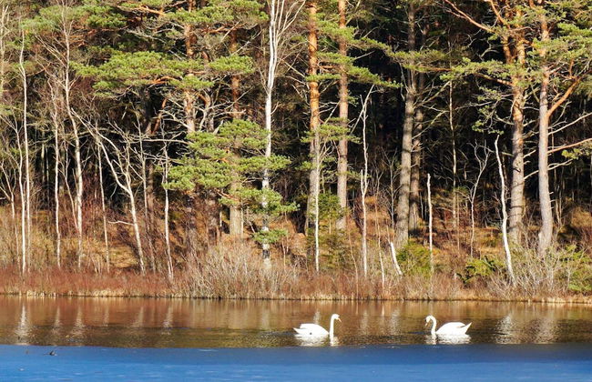 6 Person Holiday Home in Stromstad - Photo 14