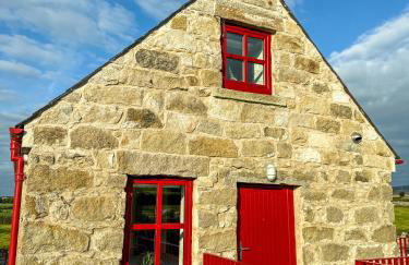 Wee Henry's Barn - Photo 24