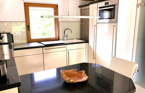 Finnhuette-Seeblick-an-der-Elbe - Foto 7