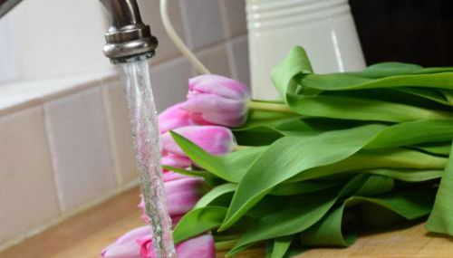 2 Bed in Belfast oc-ota1 - Foto 2, Other