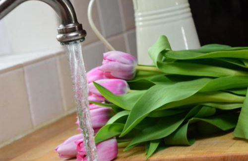 2 Bed in Belfast oc-ota1 - Foto 2