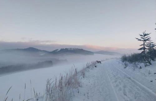 Haus JULIA direkt am Hennesee mitten im Sauerland - Foto 32