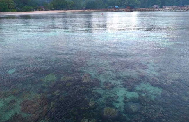 Mamatua N. Saleo Villa - Foto 25