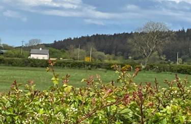 Seacoast View - Foto 58