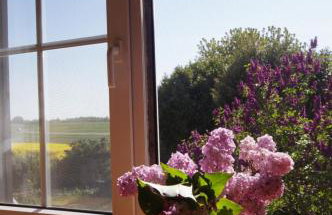 Ferienwohnung Hof Scholl - Photo 6