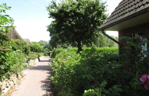 Roter Apfel - Foto 27