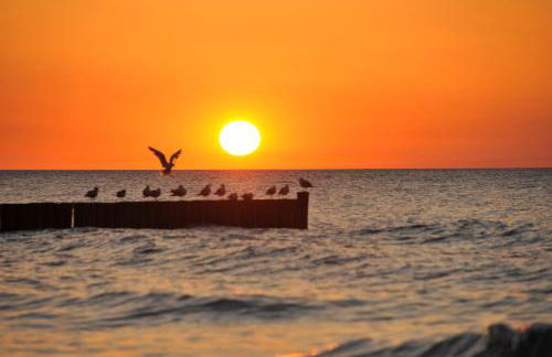 Ostsee-Ferienhaus im Grünen - Foto 27