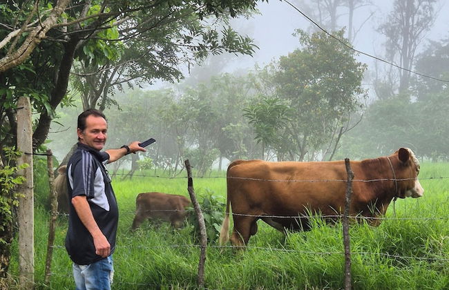 Glampling Nubes de Monteverde - Foto 68
