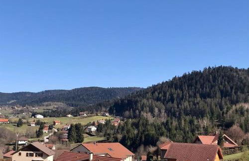 Chalet Le Grizzli-3 chambres- 8 couchages- vue imprenable - Foto 22