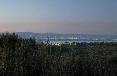 Villa degli Ulivi - Photo 6