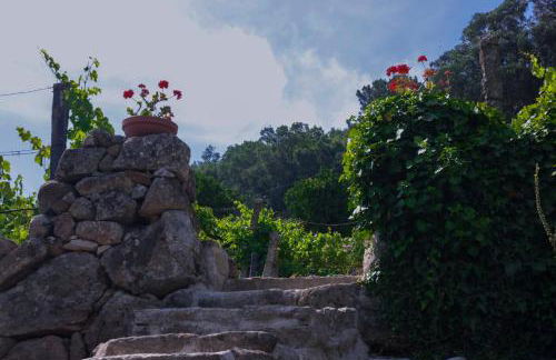 Bosque da Fantasia - Foto 16