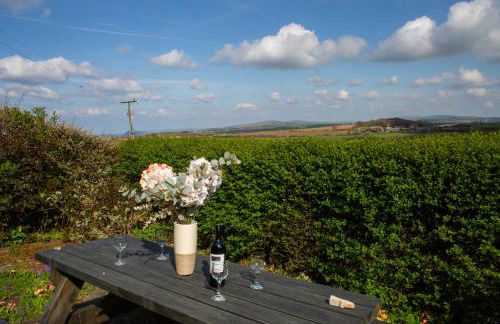 Garnllys Farmhouse Fishguard - Photo 27