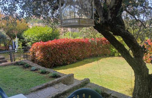 L'Olivo nel Chianti - Photo 19