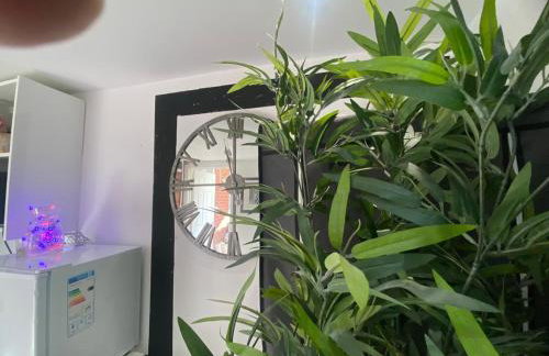 1 Bedroom studio - Photo 9