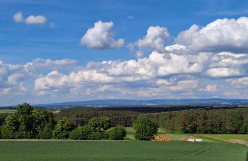 Neu renovierte Wohnung mit Traumaussicht & Natur pur - Foto 19