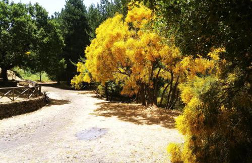 Uvatanta Cottage - Foto 37