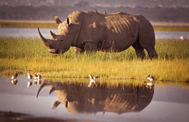 17 Manzini Holiday Resort - Foto 25