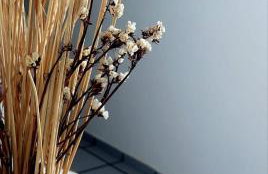 Aconchego da terra, sol e mar - Foto 6