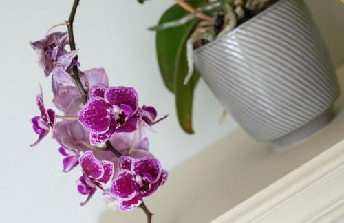 2 Bed in Weybread oc-tclwey - Foto 14