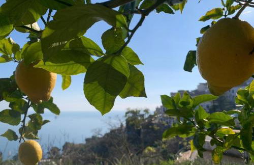 Villa San Vito Amalfi Coast A timeless charm - Foto 54