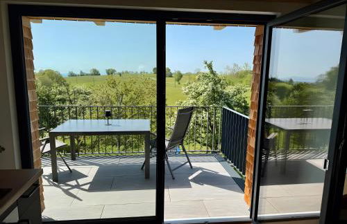 Steinackerhof Dachsberg - Foto 4