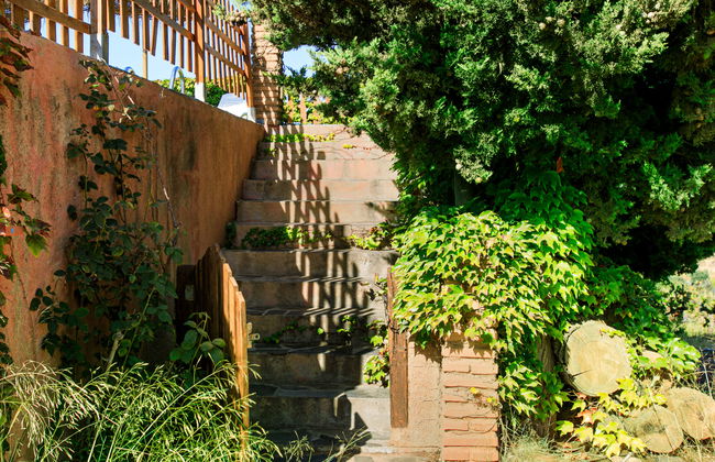 El Cerrillo - Cerro Negro - Photo 20