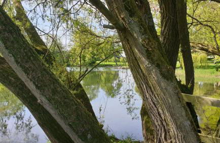 Holly Cottage, Hidden gem in the Yorkshire wolds - Foto 53