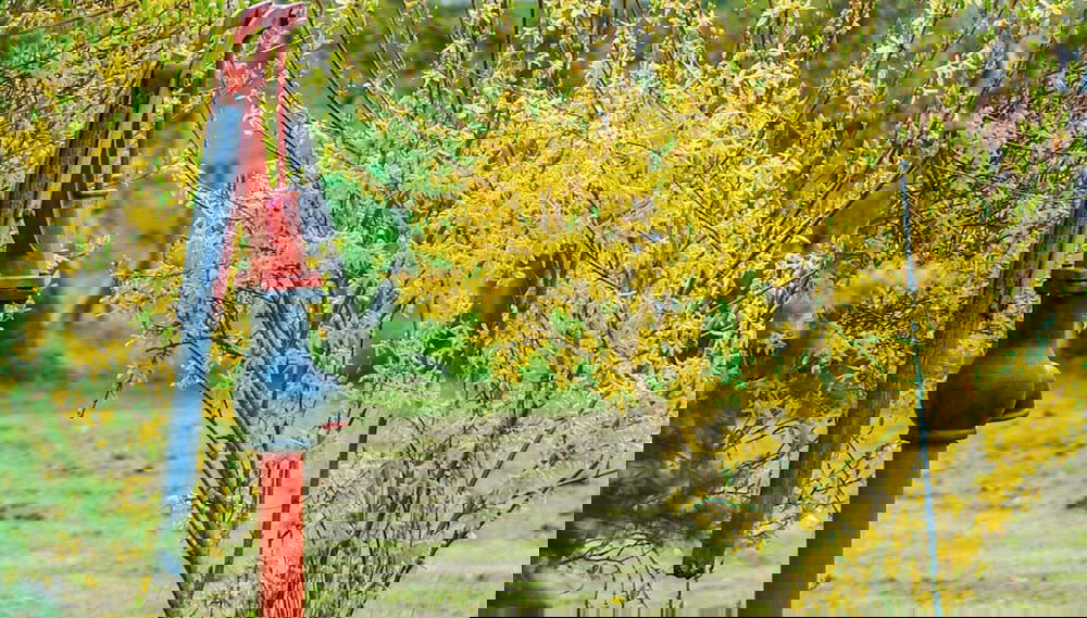 6 Person Holiday Home in Nykobing Sj - Foto 1, Imagen principal