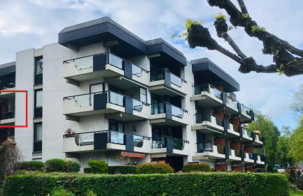 Grünstrand - Foto 20