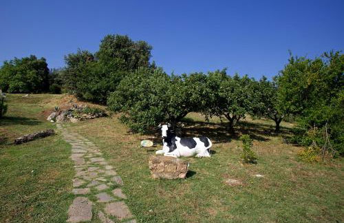 Casa Conti di Sotto - Foto 46