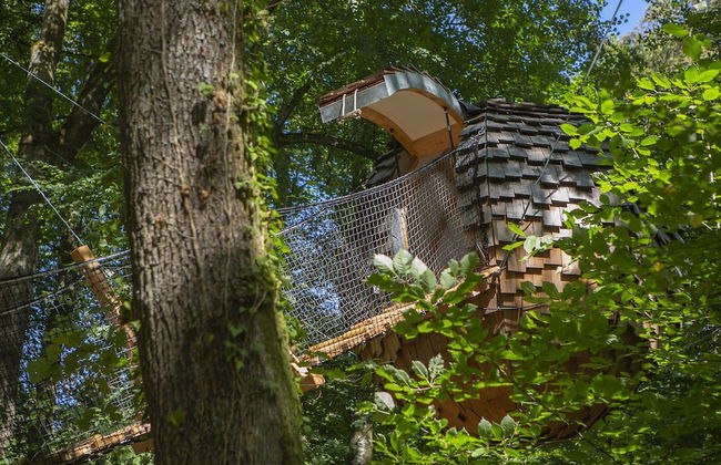 L'Arbre à Cabane - Foto 19