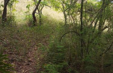 Chácara em Piracaia - Photo 16