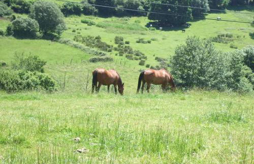 casa rural de Gonzalo Sariego Asturias - Foto 14