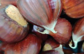 Casa vacanza Da Lara - Foto 19