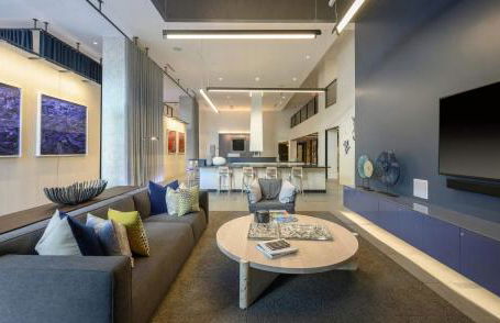 Hyatus Luxury Residences Boston South Bay Designer Collection - Photo 13