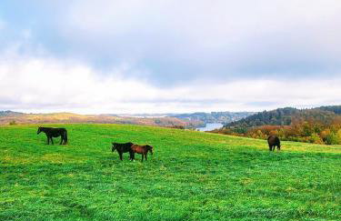 Jaśkowe Wzgórze domki na wynajem Szymbark, balia, Domek nr 2 i 3 - Foto 39