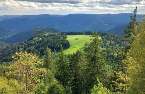 Cosy Holiday Home in Mahlberg in the Ortenau District in Baden-württemberg - Foto 62