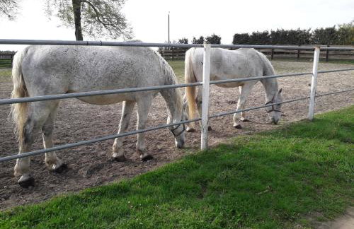 Całoroczny Apartament u Grzegorza - Foto 17