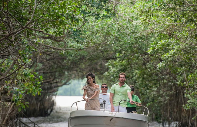 Tour del tabaco, el ron y el azúcar - Foto 6