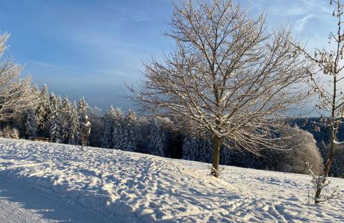 Ferienhaus Vier Jahreszeiten - Photo 19