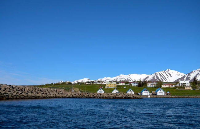 Árskógssandur Whale Watching - Photo 5