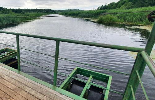 KURNIK - Domek pod lasem - Foto 31