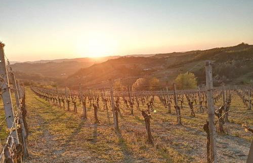 Agriturismo IL BIANCOSPINO Bed & Wine - Foto 28