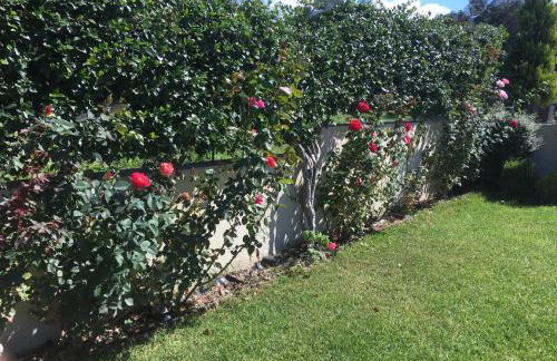 Villa Markos - Foto 33