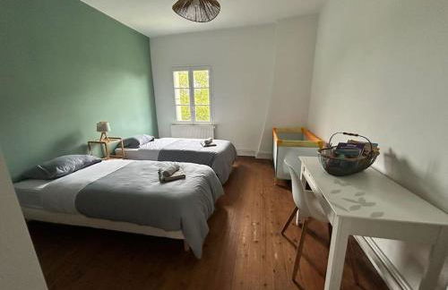 Le logis des diligences - Vue sur le château - Foto 2