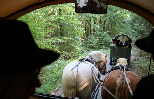 Nationalparkblick - Foto 16