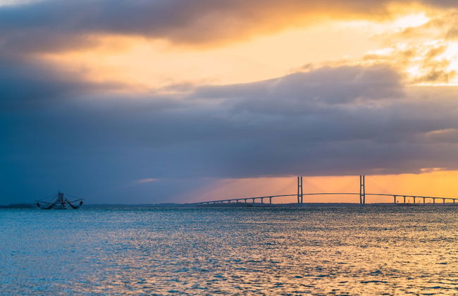 111 Mews Circle by Hodnett Cooper - Foto 22