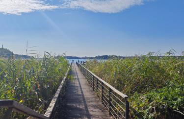 Ferienwohnung Bad Saarow "Am Märkischen Meer" - Foto 14